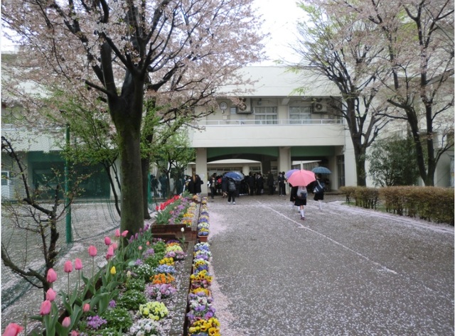 花壇の花が新入生を迎えました