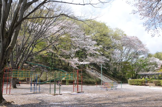 黒鐘公園の写真