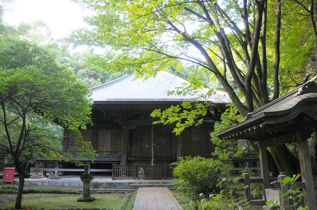 国分寺薬師堂の写真