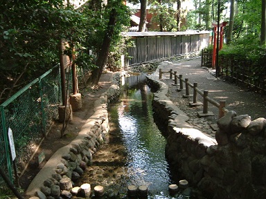 お鷹の道・真姿の池湧水群の画像