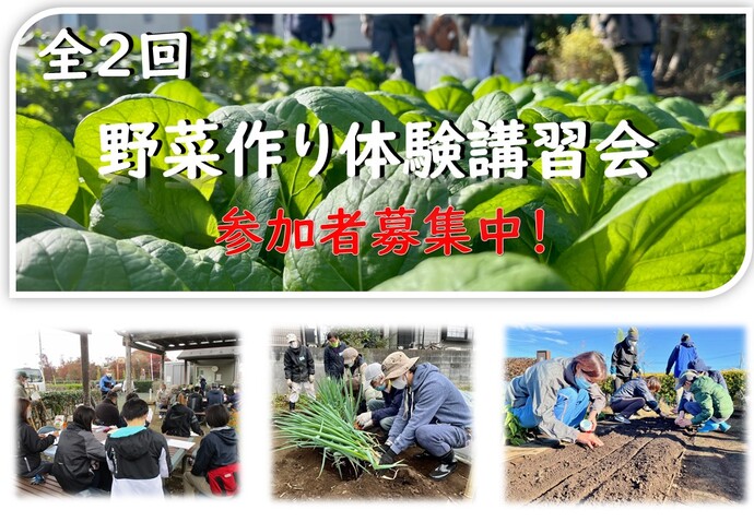 収穫体験付き野菜作り体験講習会（初心者向け）