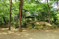 けやき公園の写真