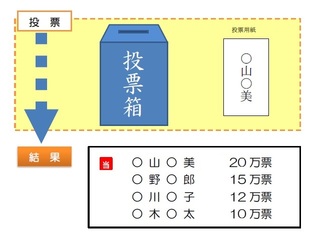 参議院議員選挙区選挙