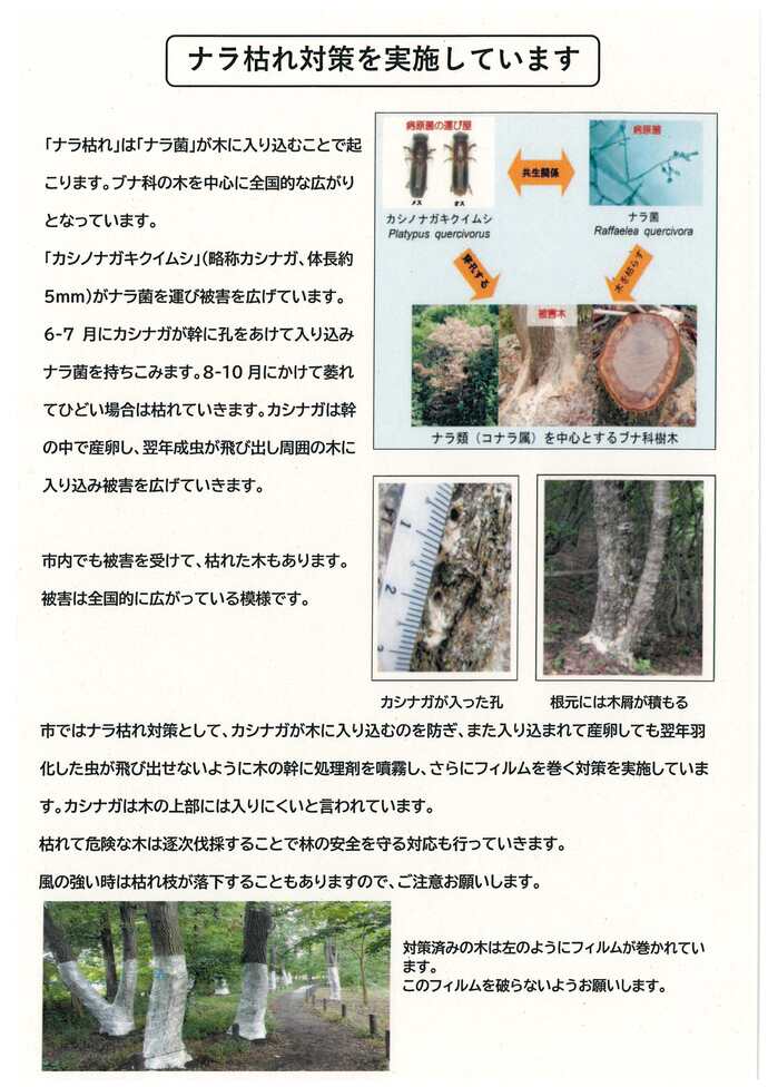 ナラ枯れ対策の説明と写真