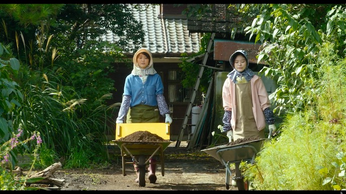 農業用一輪車で土を運ぶ女性