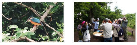 春期動植物調査観察会風景写真